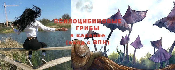 бошки Кукмор